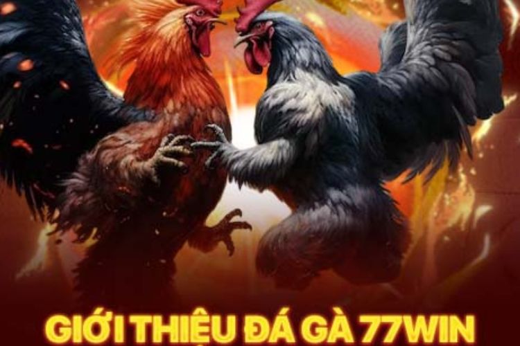 Giới thiệu Đá Gà Đòn 77win